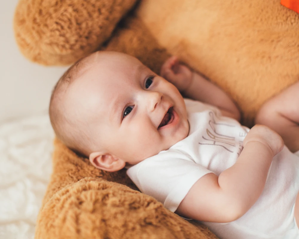 infant swing cradle
