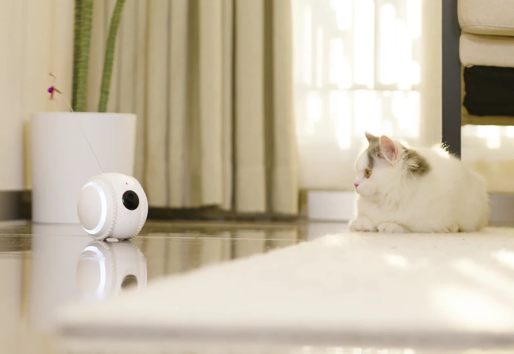 pet camera for cats